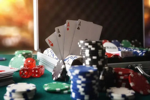 kadal 3d togel Terms & Conditions For Your Account